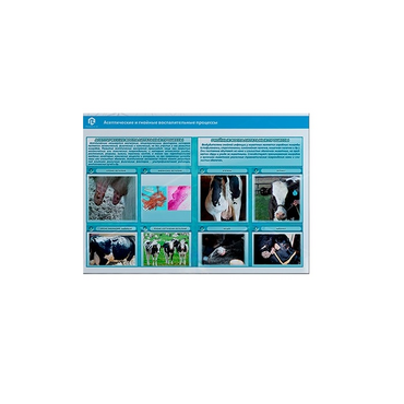 Стенд-планшет светодинамический «Изучение асептических и гнойных воспалительных процессов» - «globural.ru» - Новый Уренгой